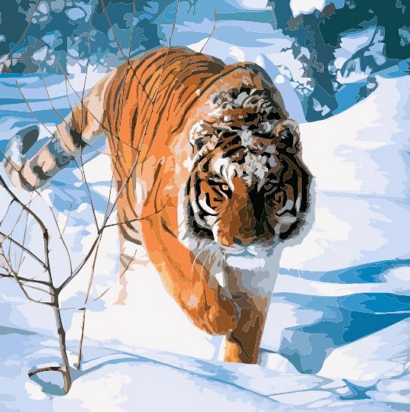 Meet your Posher, Brian - Picture 1 of 1